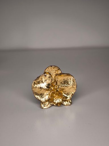 Anillo orquídea: 25€